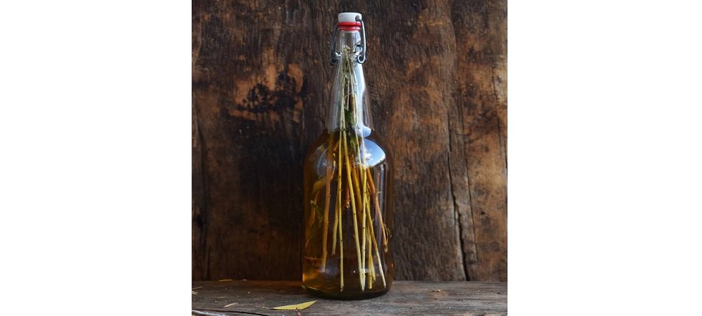 Pascal Baudar’s Stems Brew: Between Herbal Soda and Ancient Beer