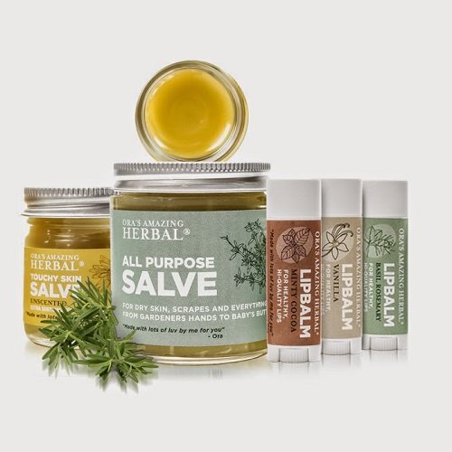 Recommended Brands 13 Recommended Brands 13