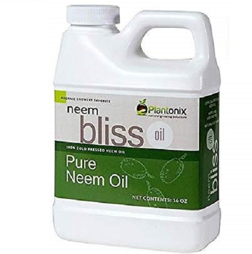 Recommended Brands 17 Recommended Brands 17